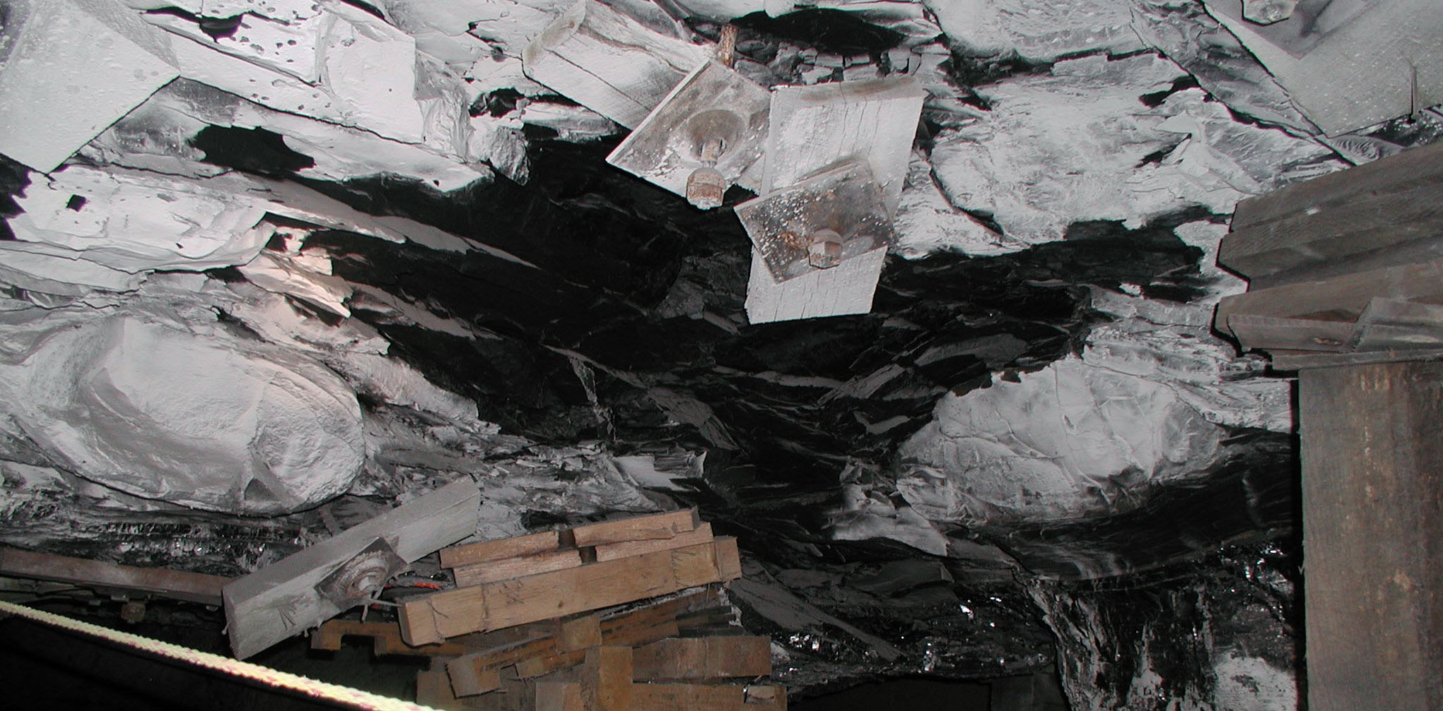 Black shales with brittle fractures and concretions above the Herrin (W. Ky. No. 11) coal in western Kentucky.